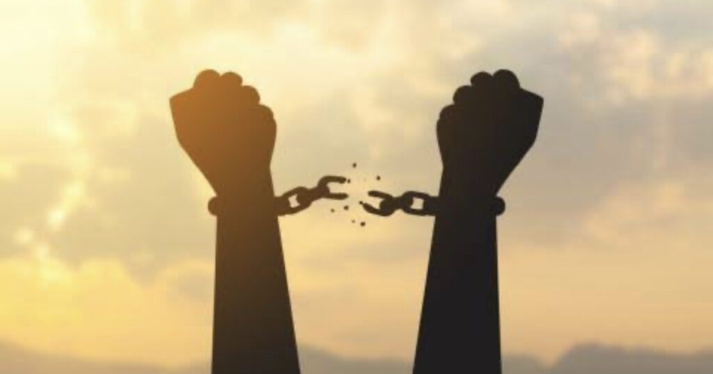 Our Freedom in 2020
